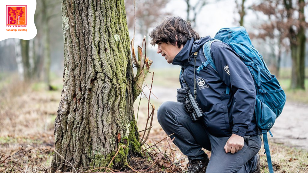 Vorming sporen zoeken met Joeri Cortens - namiddag